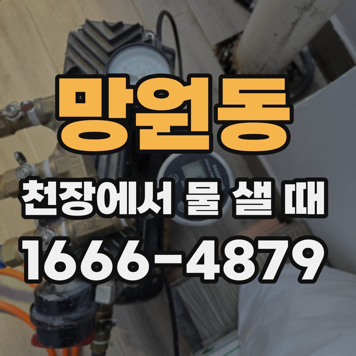망원동 천장에서 물 샐 때