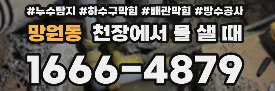 망원동 천장에서 물 샐 때