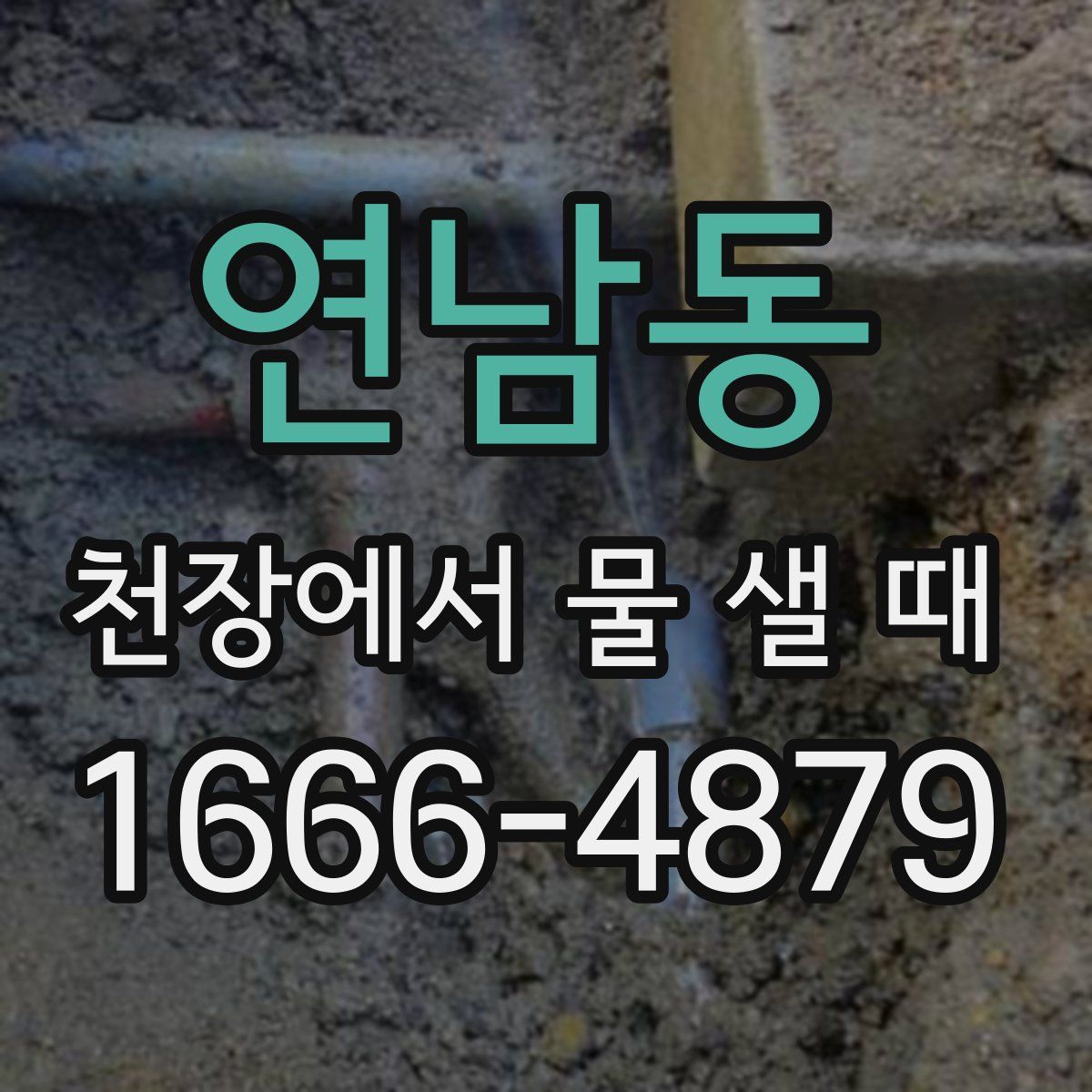 연남동 천장에서 물 샐 때