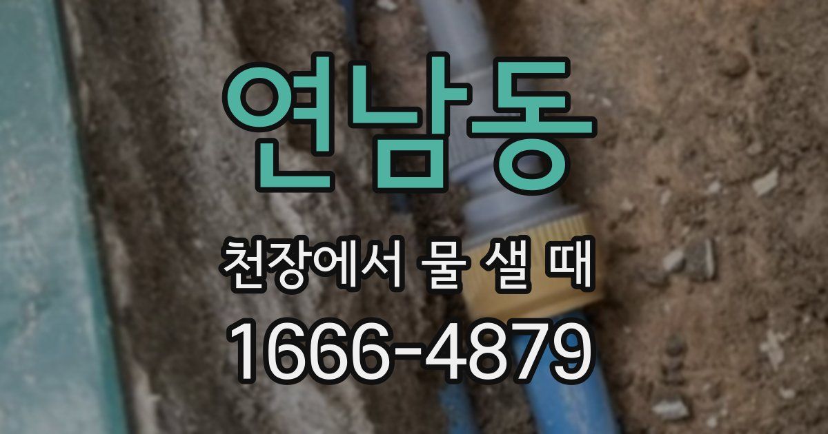 연남동 천장에서 물 샐 때