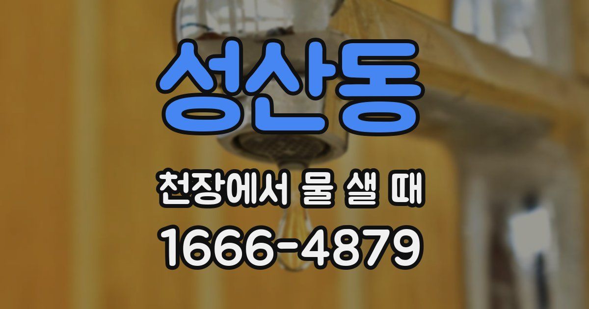 성산동 천장에서 물 샐 때