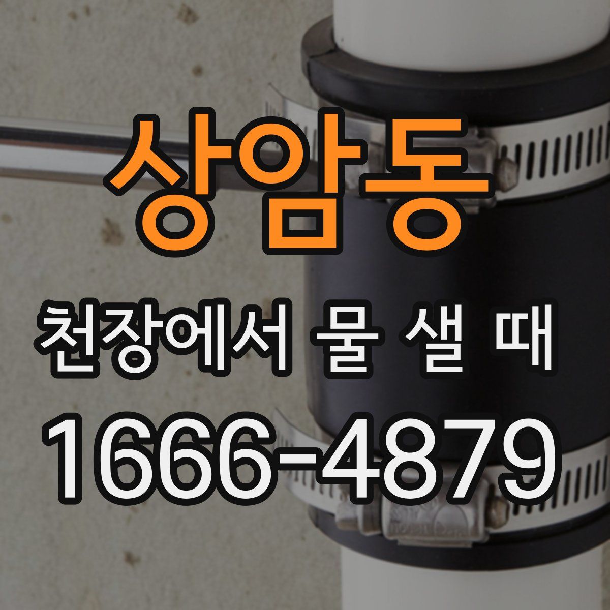 상암동 천장에서 물 샐 때