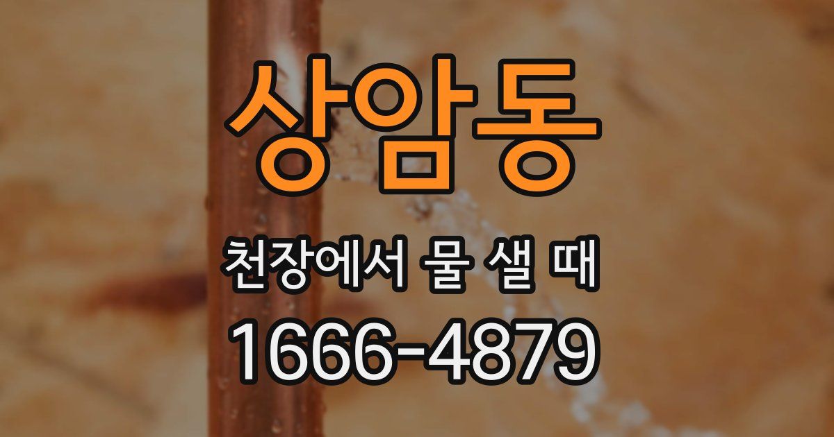 상암동 천장에서 물 샐 때