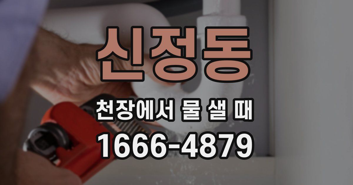 신정동 천장에서 물 샐 때