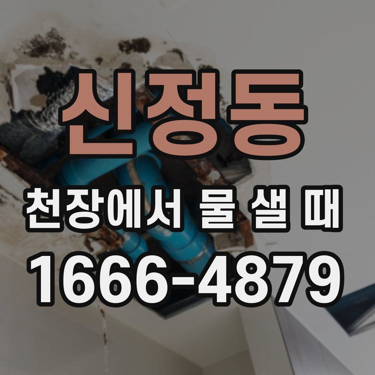 신정동 천장에서 물 샐 때