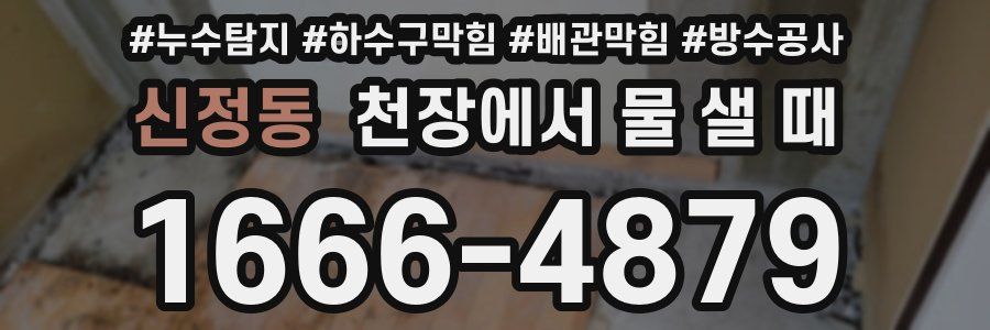 신정동 천장에서 물 샐 때