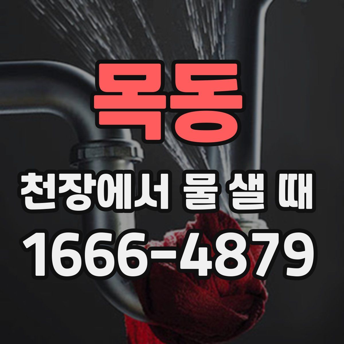 목동 천장에서 물 샐 때