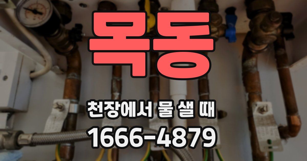 목동 천장에서 물 샐 때