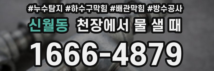 신월동 천장에서 물 샐 때