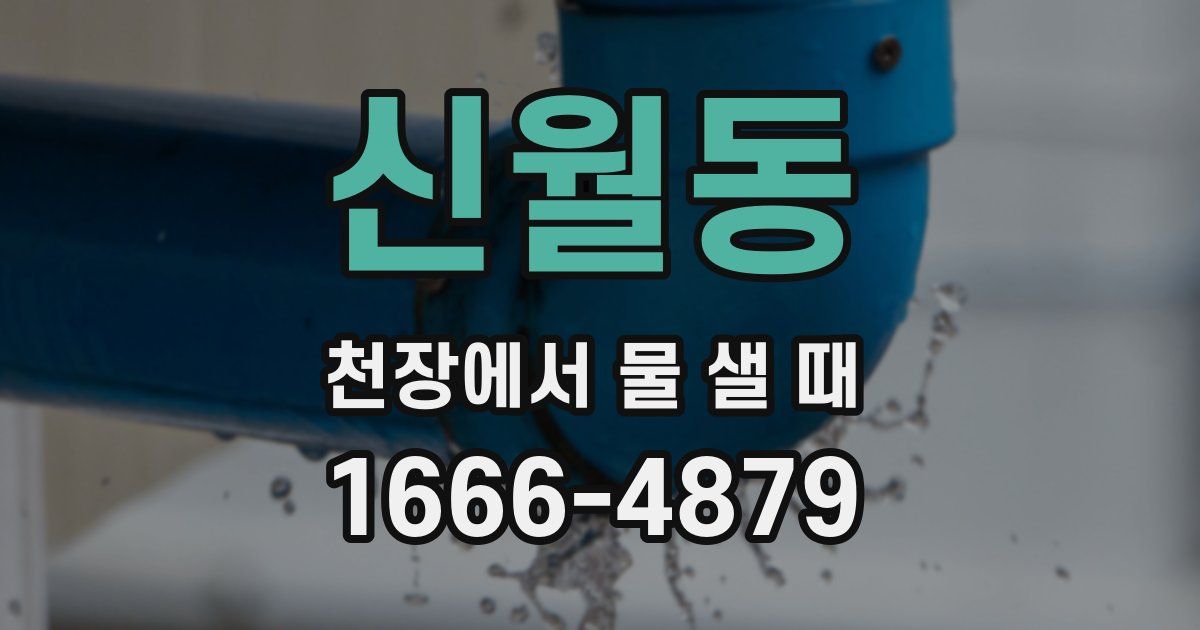 신월동 천장에서 물 샐 때