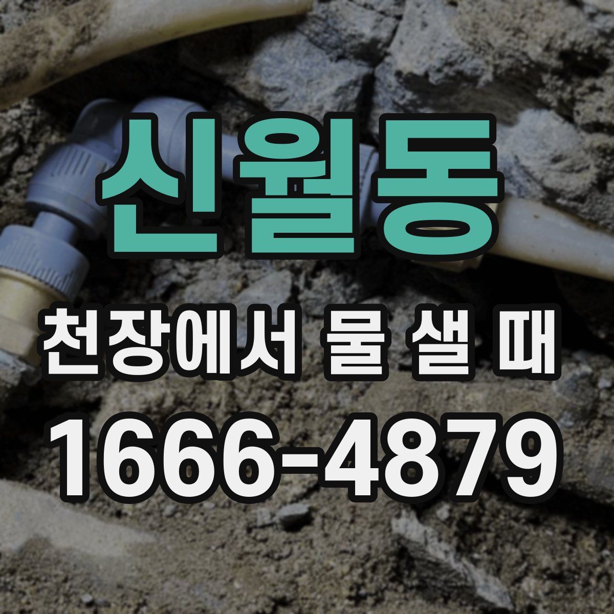 신월동 천장에서 물 샐 때