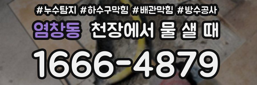 염창동 천장에서 물 샐 때