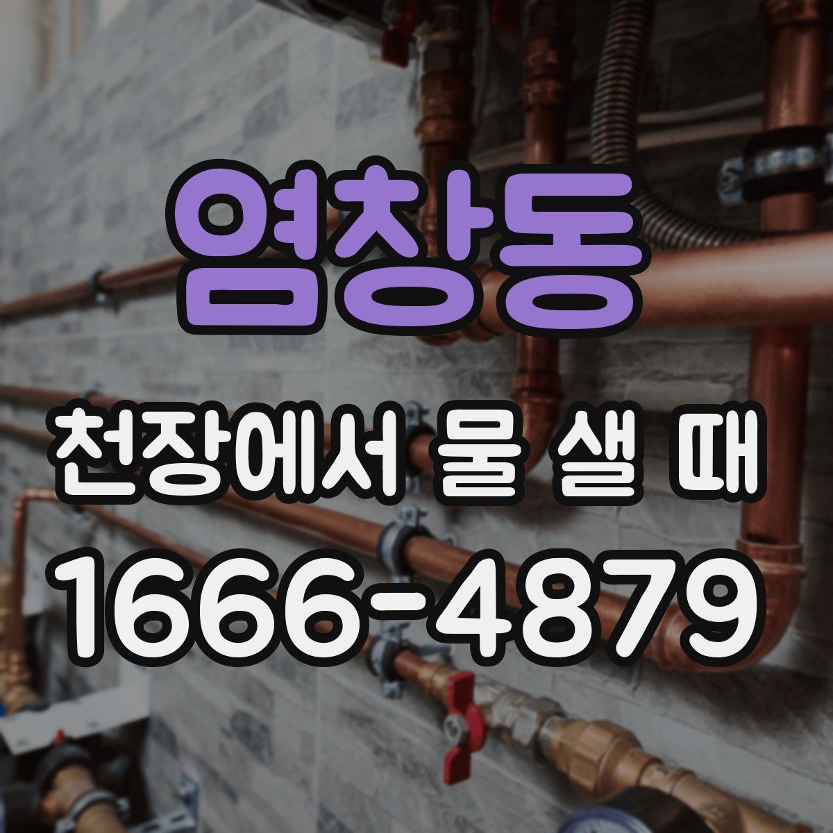 염창동 천장에서 물 샐 때