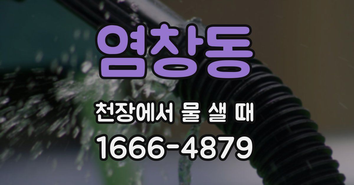 염창동 천장에서 물 샐 때