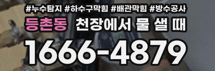 등촌동 천장에서 물 샐 때