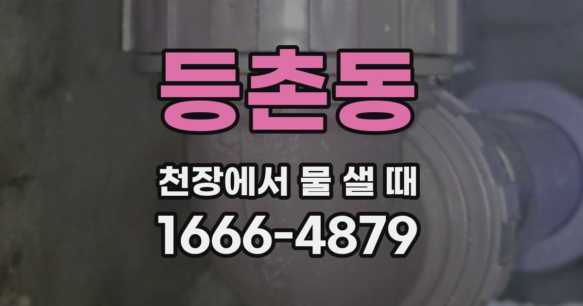 등촌동 천장에서 물 샐 때