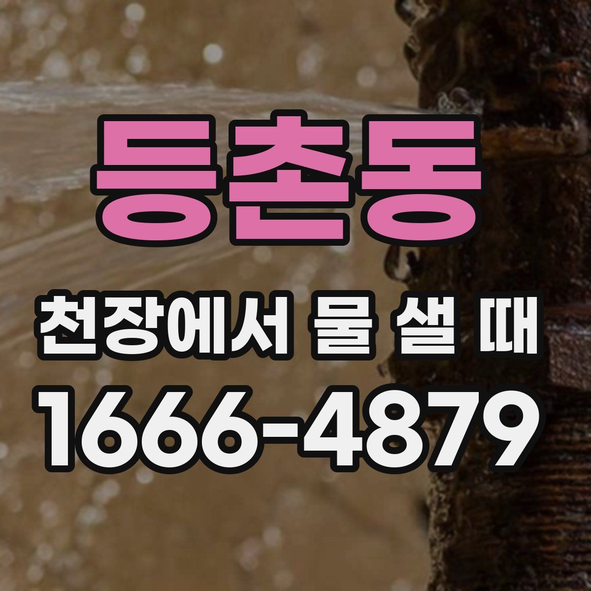 등촌동 천장에서 물 샐 때