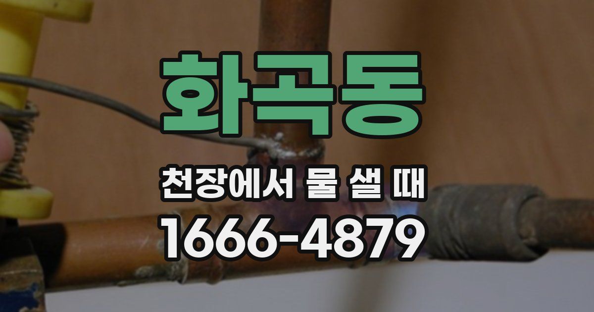 화곡동 천장에서 물 샐 때