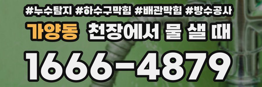 가양동 천장에서 물 샐 때