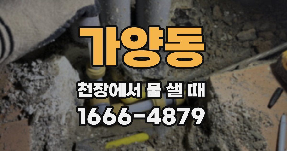 가양동 천장에서 물 샐 때