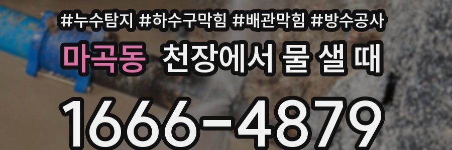 마곡동 천장에서 물 샐 때
