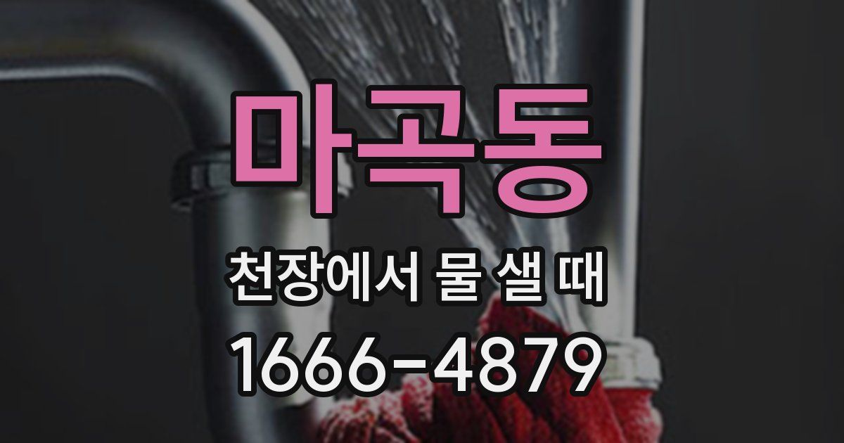 마곡동 천장에서 물 샐 때