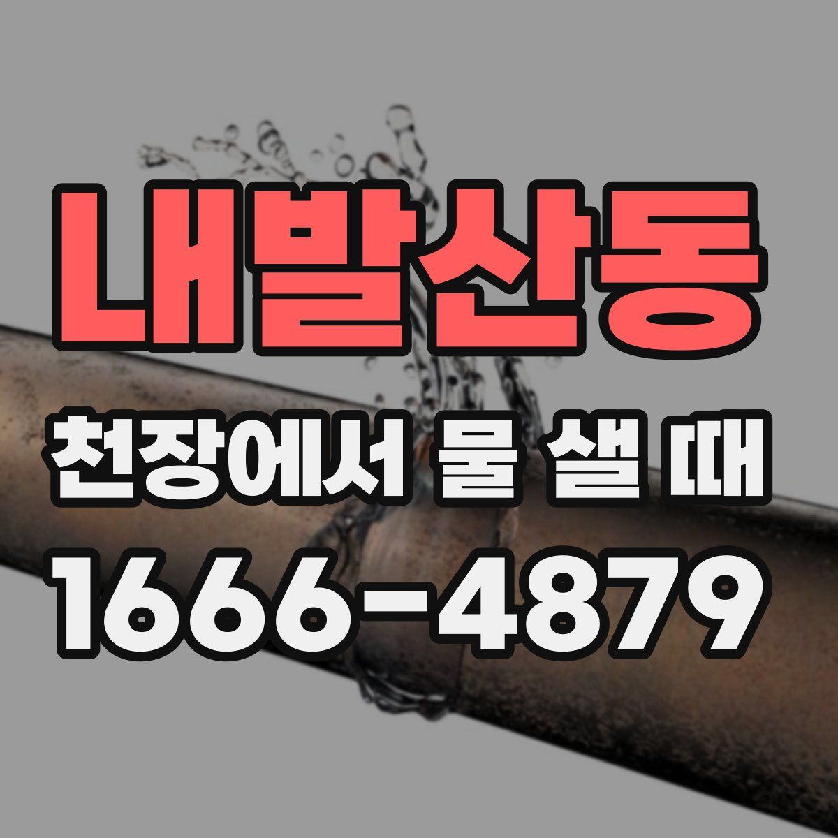 내발산동 천장에서 물 샐 때