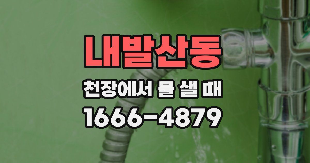 내발산동 천장에서 물 샐 때