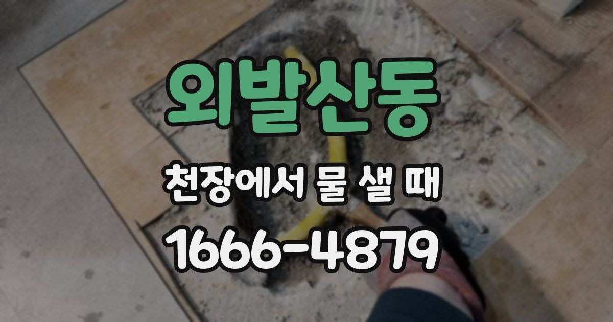 외발산동 천장에서 물 샐 때