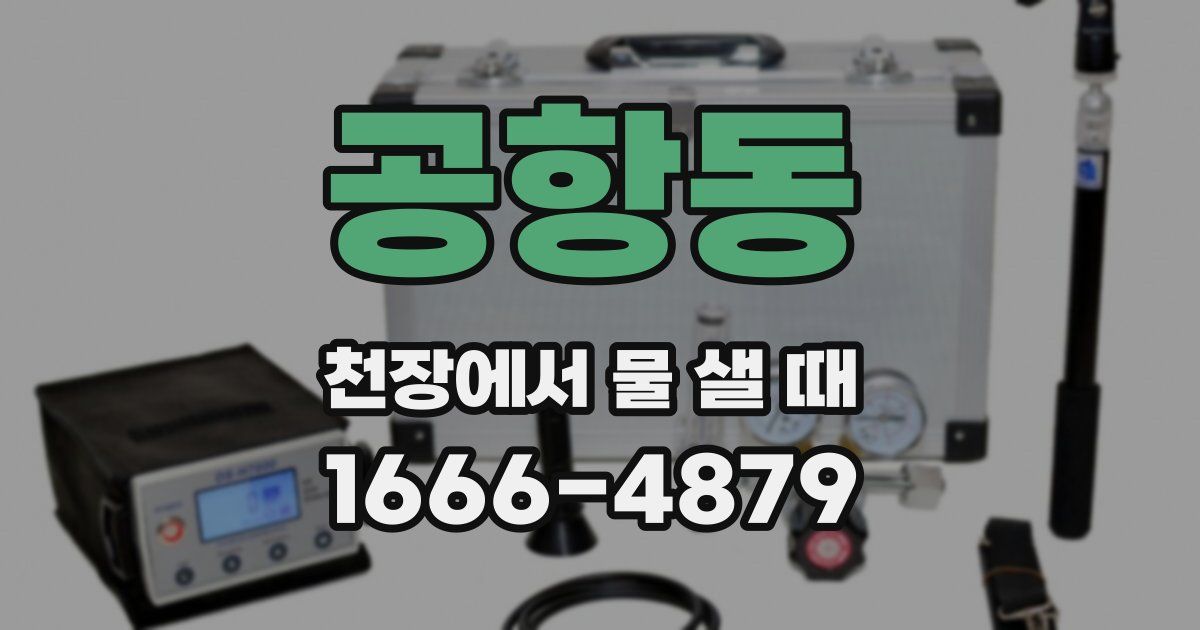 공항동 천장에서 물 샐 때