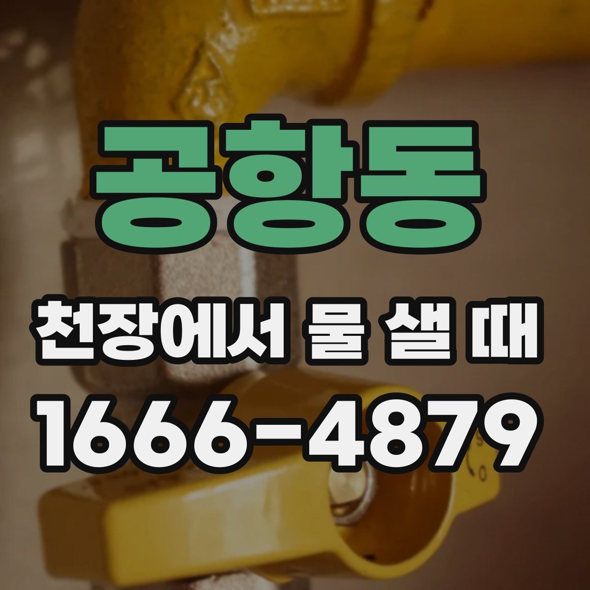 공항동 천장에서 물 샐 때