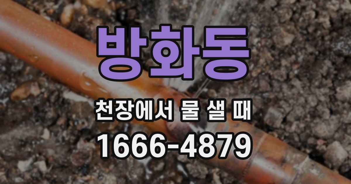 방화동 천장에서 물 샐 때