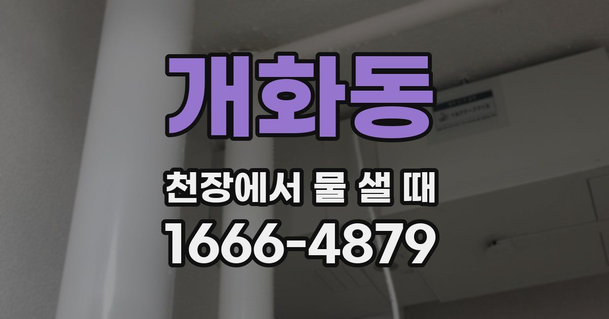 개화동 천장에서 물 샐 때