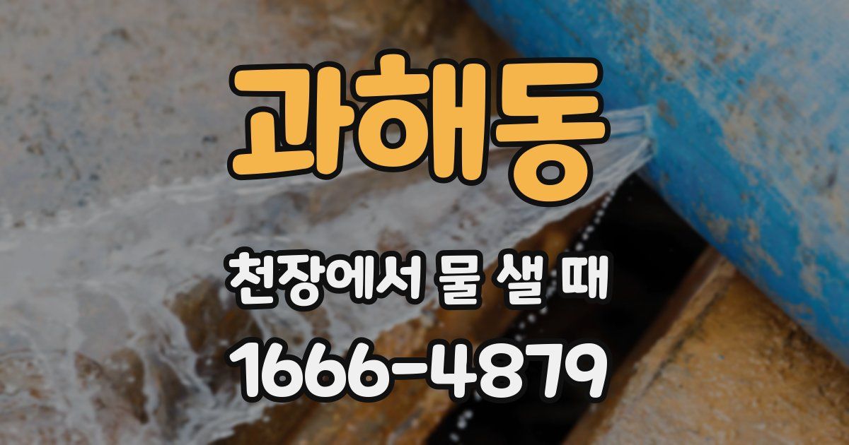 과해동 천장에서 물 샐 때