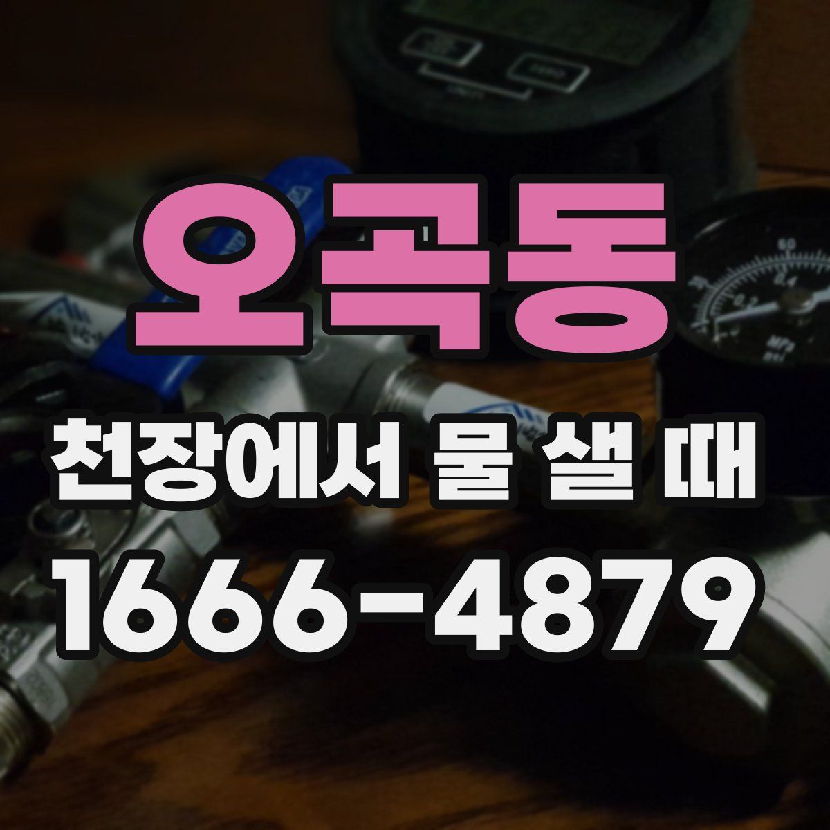 오곡동 천장에서 물 샐 때