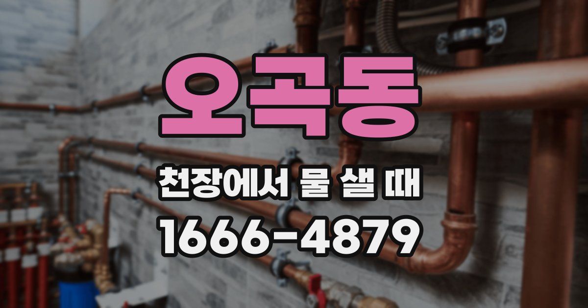 오곡동 천장에서 물 샐 때