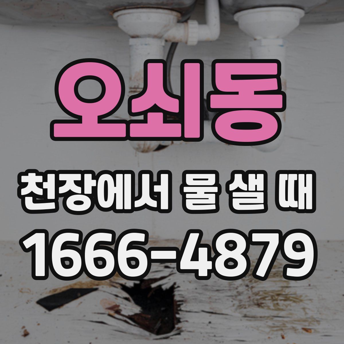 오쇠동 천장에서 물 샐 때
