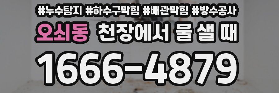 오쇠동 천장에서 물 샐 때