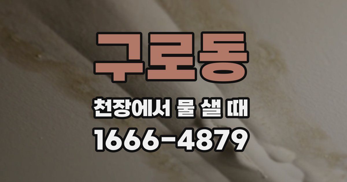 구로동 천장에서 물 샐 때