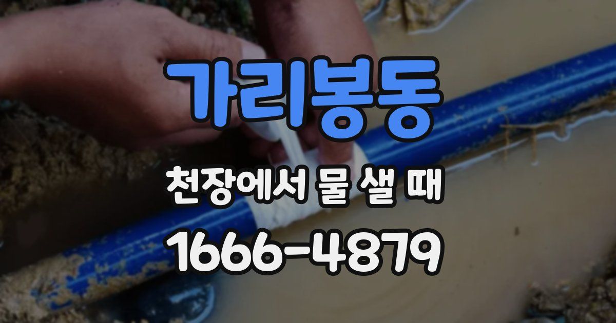가리봉동 천장에서 물 샐 때