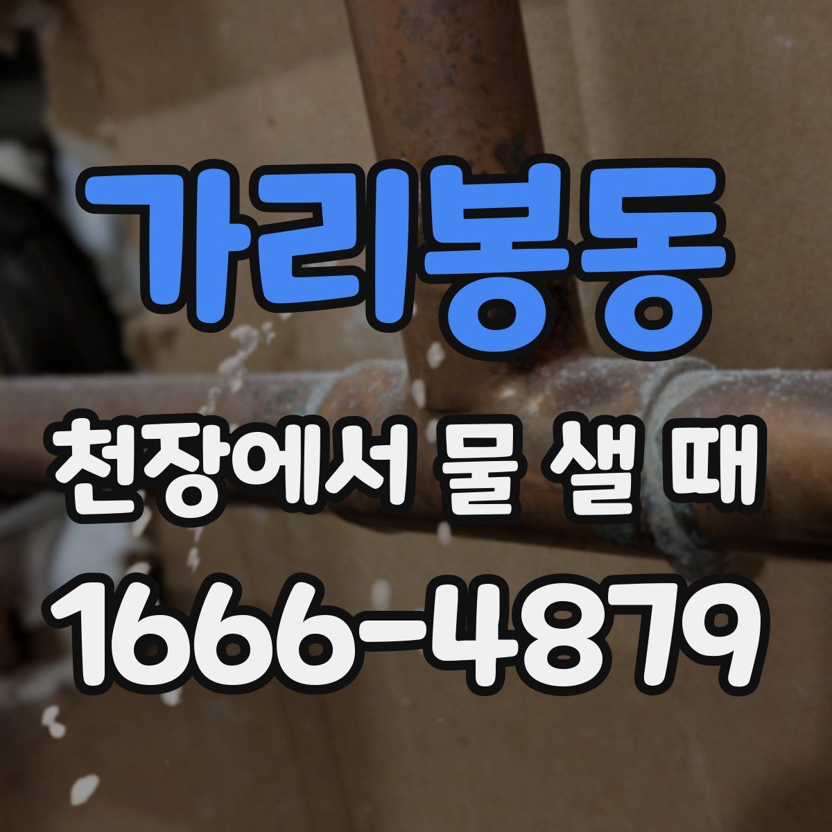 가리봉동 천장에서 물 샐 때