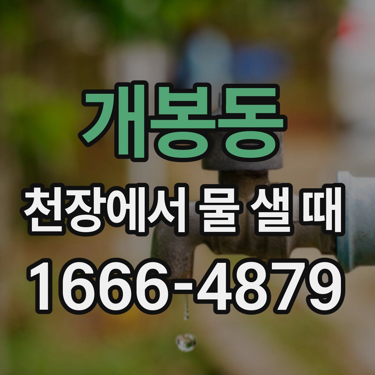 개봉동 천장에서 물 샐 때