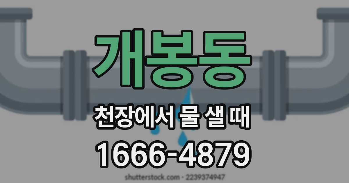 개봉동 천장에서 물 샐 때