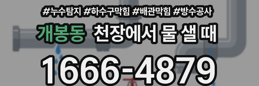 개봉동 천장에서 물 샐 때