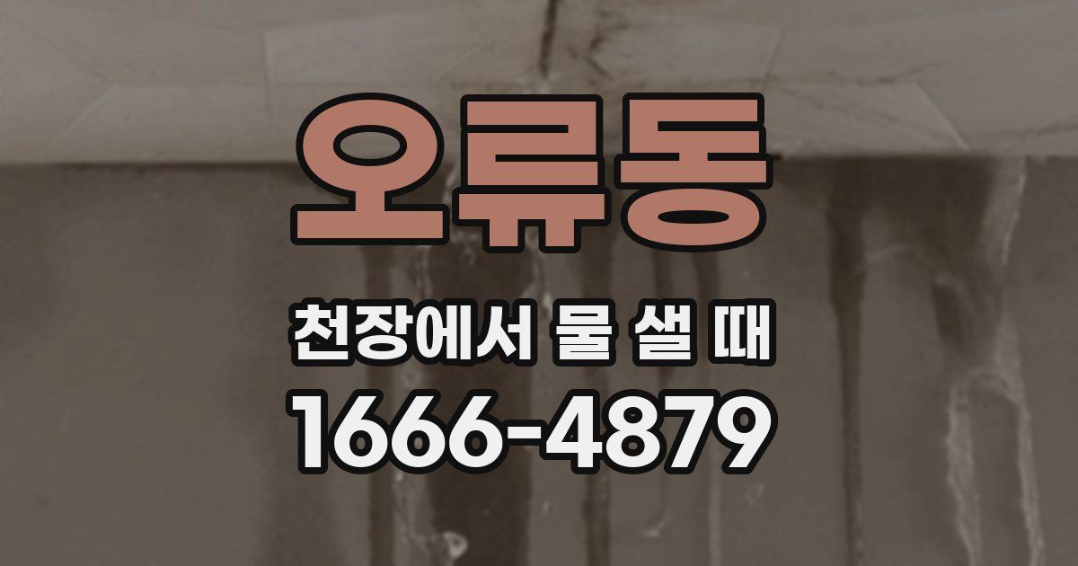 오류동 천장에서 물 샐 때