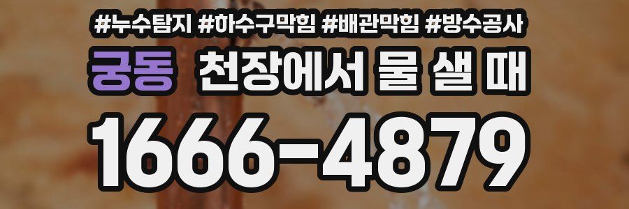 궁동 천장에서 물 샐 때