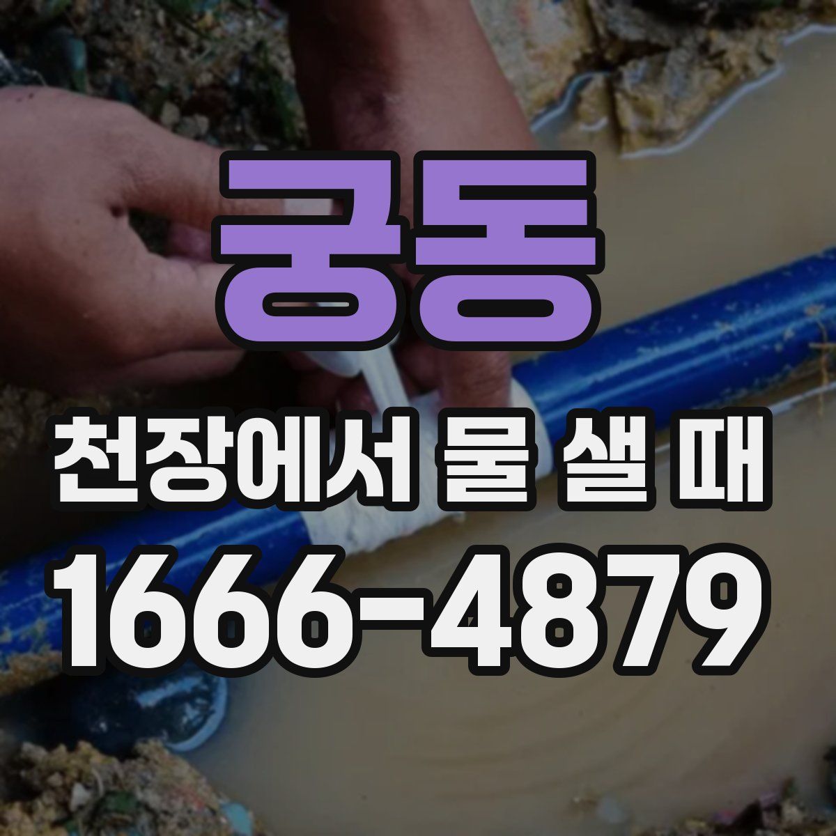 궁동 천장에서 물 샐 때