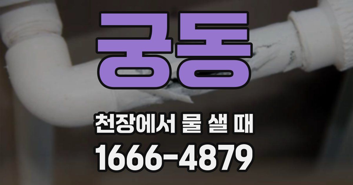 궁동 천장에서 물 샐 때
