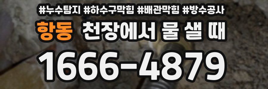 항동 천장에서 물 샐 때