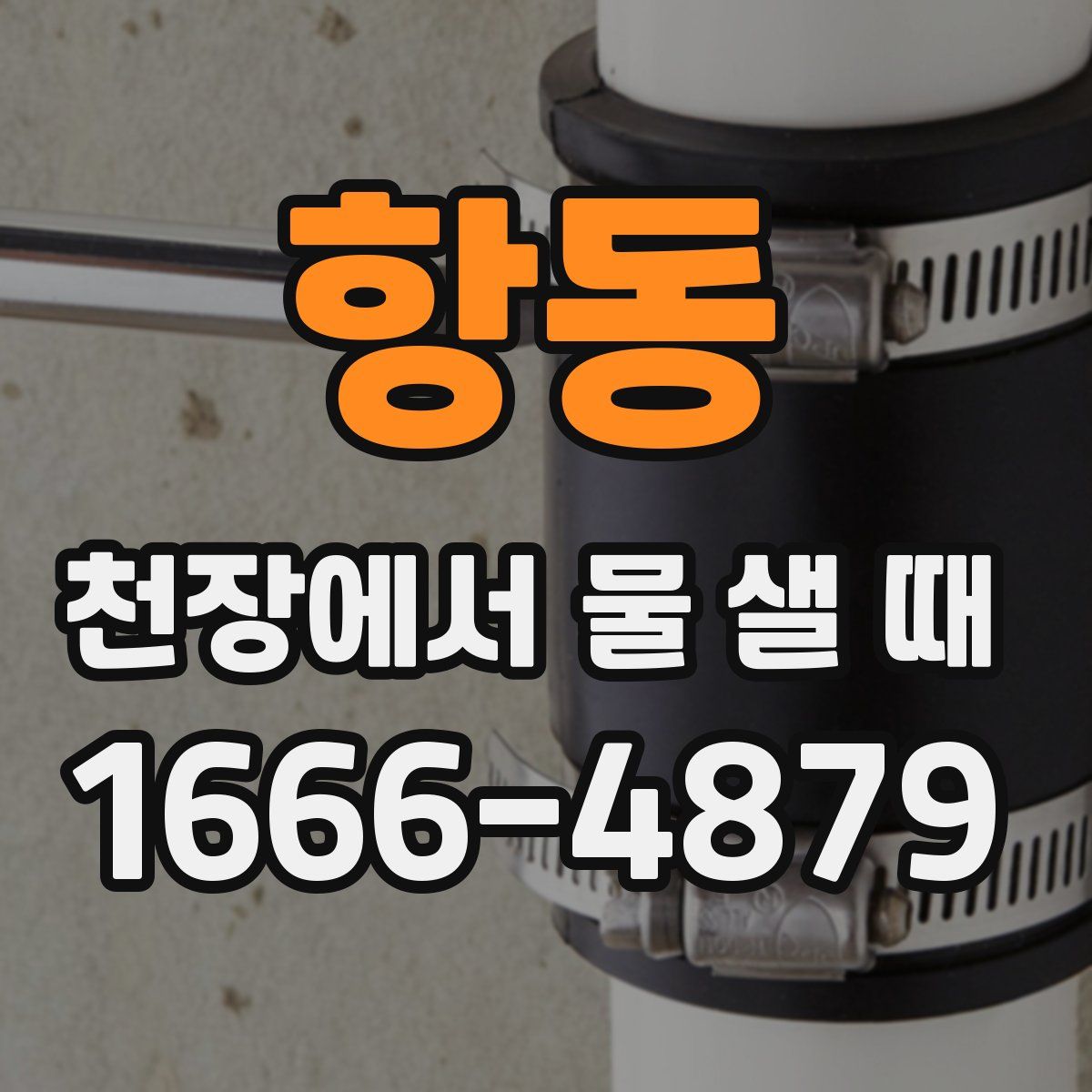 항동 천장에서 물 샐 때